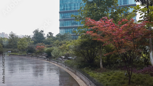 Photography A wonderful green space in one of the urban sidewalks in Shanghai, China, which