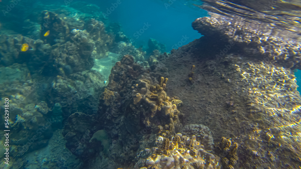 Panoramic scene under water and blue background
