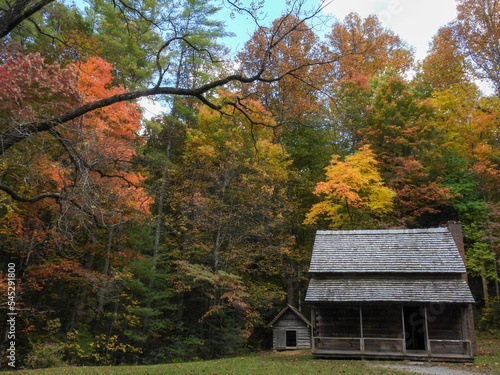 Cabin in the autumn in Cades Cove, Tennessee