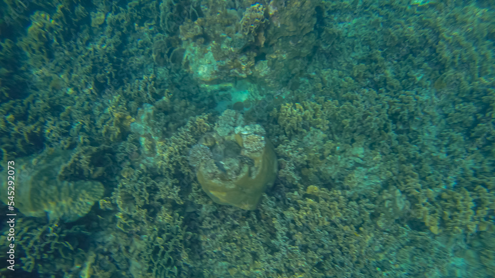 Panoramic scene under water and blue background