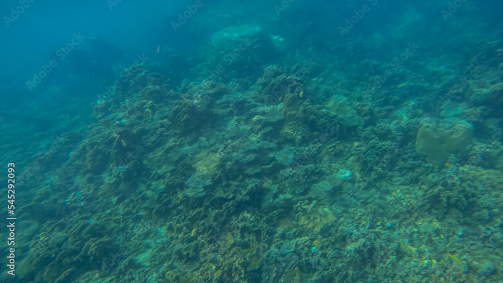 Panoramic scene under water and blue background