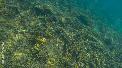 Panoramic scene under water and blue background