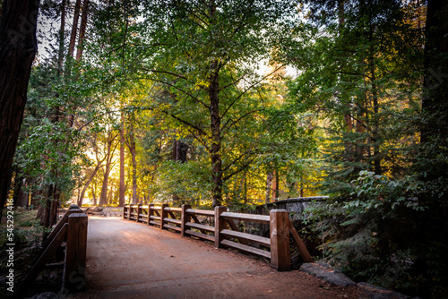 wooden bridge path in autumn