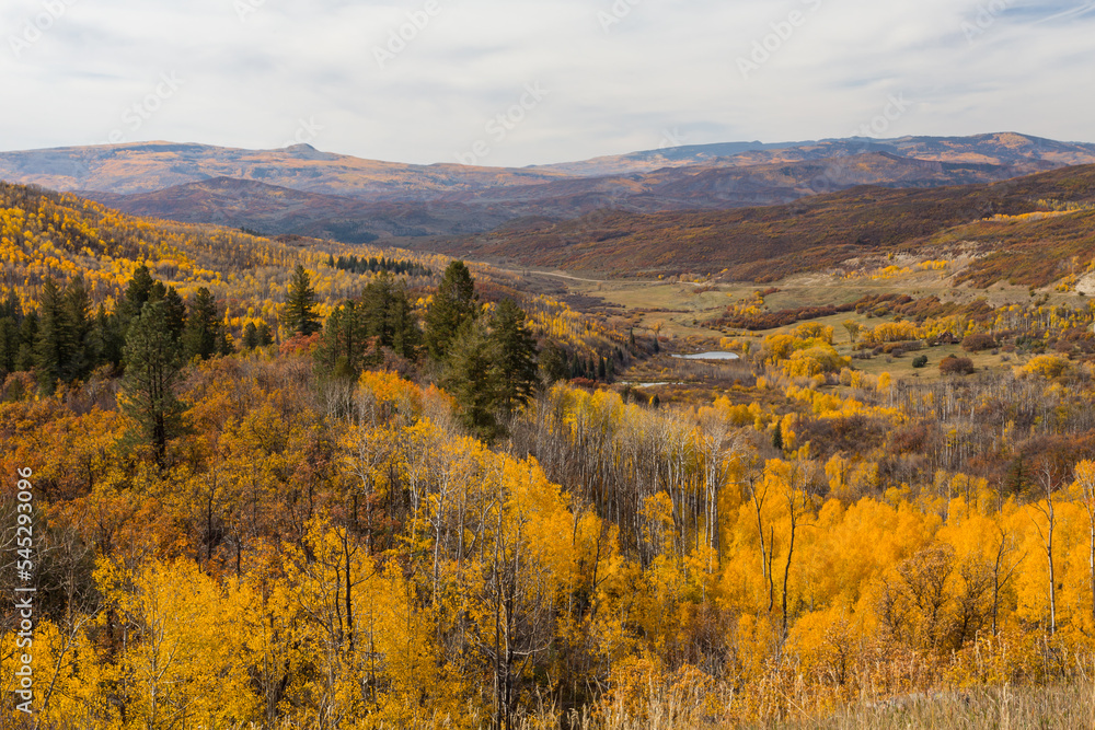 Aspen forest in autumn golden colors covered the valley and mountains in Colorado, McClure Pass