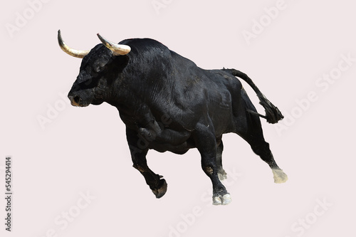 un toro negro corriendo
