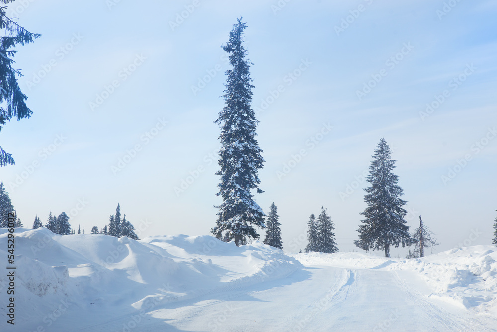 Obraz premium Snowy road in winter forest