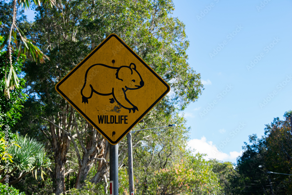 Sign from Australian road trees and blue sky background 
