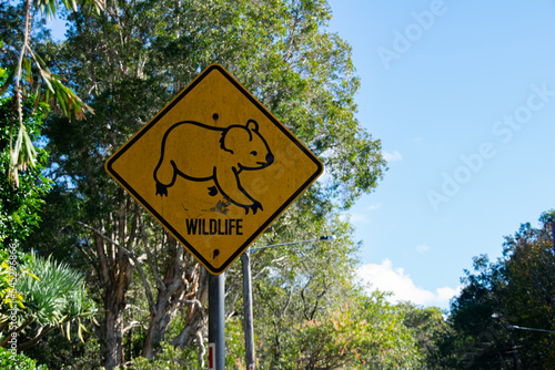 Photography Sign from Australian road trees and blue sky background