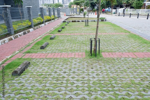 a field