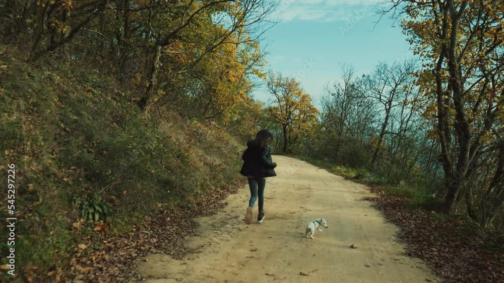 Teenager walking with dog in forest Teenager walking with dog in forest