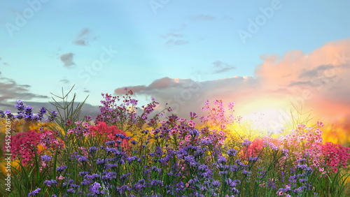 Mountain wild flowers blue sky and white clouds in heart shape wild field rainbow on blue sky  sunset  summer nature landscape © Aleksandr
