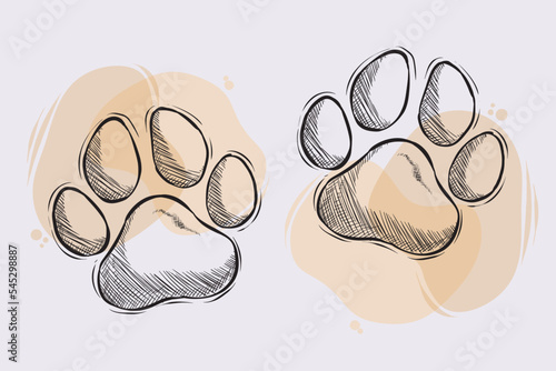Hand drawn dog or cat paws, outline drawing of two pet paw against beige watercolors