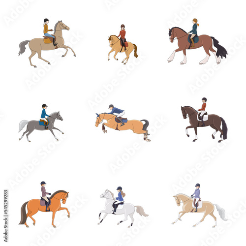 Various directions of equestrian sports, show jumping, dressage, pony sports, hobbies