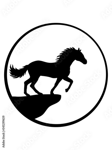 Klippe Mond Stehendes Pferd 