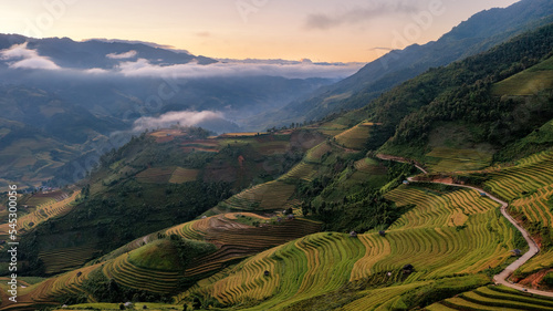 Rice fields on terraced prepare the harvest at Northwest Vietnam.