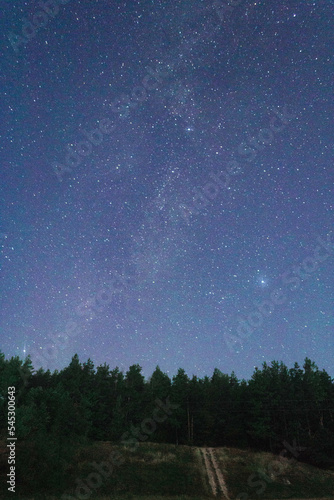 stars in sky
