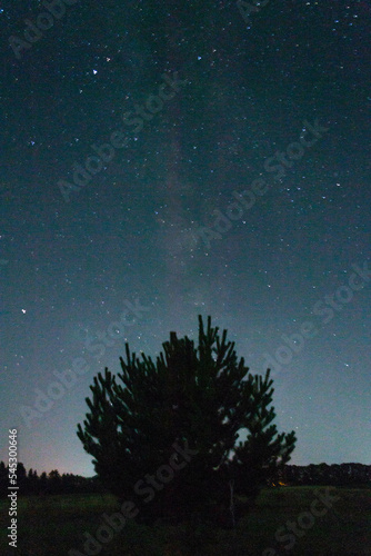 starry night sky