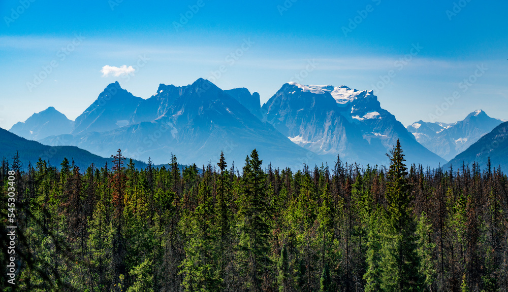 Mount Athabasca with its glacier and surrounding peaks in the distance, above  the forest, from Sunwapta Falls trail.