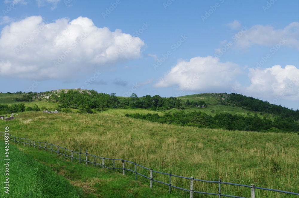 Scenery of a ranch with fresh green,ranch summer landscape,round hill landscape