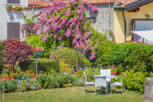 Fototapeta Naklejka Na Ścianę i Meble -  Garden with flowers in back yard at sunny springtime, Lake Garda, Italy