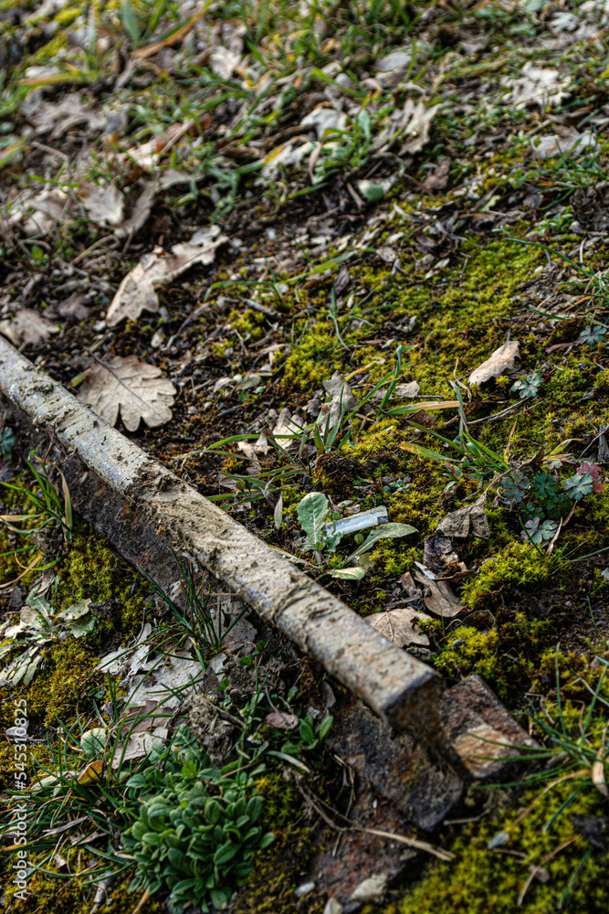 rust train trail in the heart of a forest rust train trail in the heart of a forest