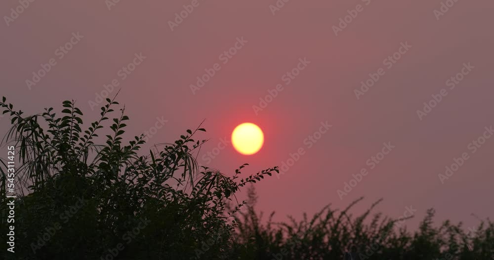 Sunset in the Yellow Sky. Timelapse. Big bright Yellow sun moves down. Awesome landscape of sky and silhouette of forest on the horizon. Amazing colors of the setting sun. Vibrant color. 4K Sunset in the Yellow Sky. Timelapse. Big bright Yellow sun moves down. Awesome landscape of sky and silhouette of forest on the horizon. Amazing colors of the setting sun. Vibrant color. 4K