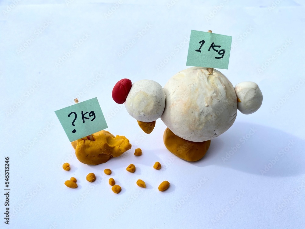 Feed Conversion Ratio for Broiler Chicken. Image for Brochures, catalog