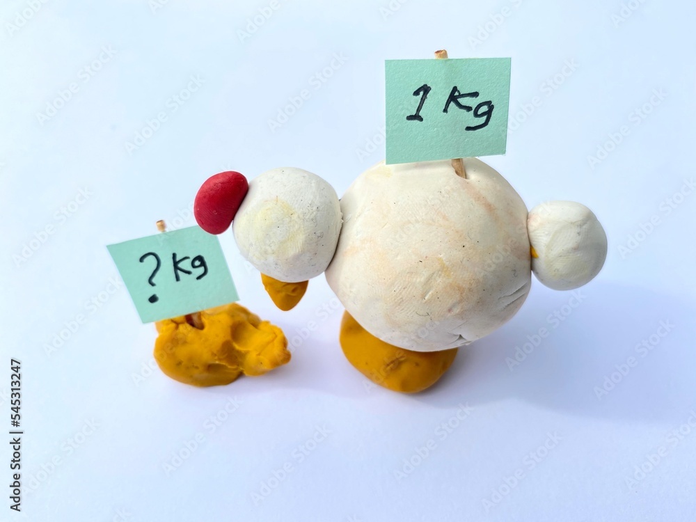 Feed Conversion Ratio for Broiler Chicken. Image for Brochures, catalog