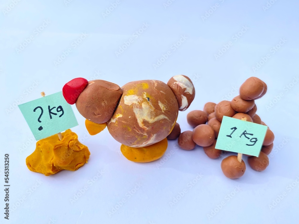 Feed Conversion Ratio for Broiler Chicken. Image for Brochures, catalog