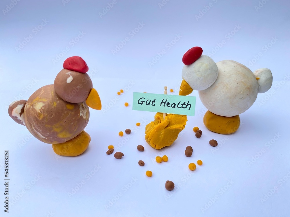 Feed Conversion Ratio For Broiler Chicken Image For Brochures Catalog feed-conversion-ratio-for-broiler-chicken-image-for-brochures-catalog