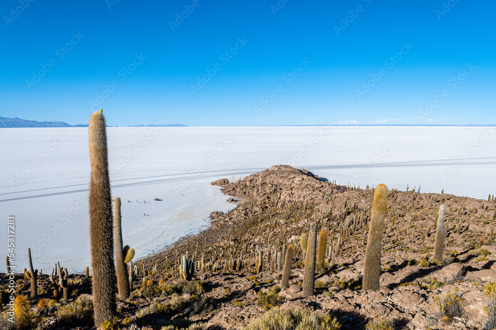 views from the top of incahuasi island in uyuni desert, bolivia views from the top of incahuasi island in uyuni desert, bolivia