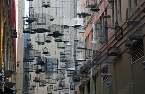 Photography Bird cages - Forgotten Songs - Sydney, Australia
