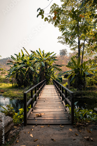 wooden bridge in a forest in thailand  © Clement