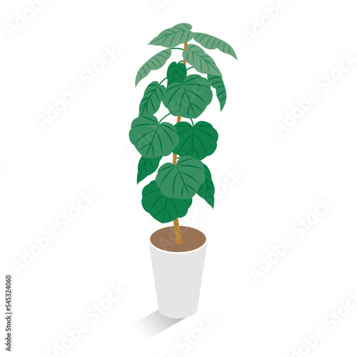 アイソメトリック_立体的でかわいい観葉植物のイラスト