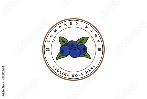 Vintage Retro Fresh Blue Berry Fruit for Product Farm Logo