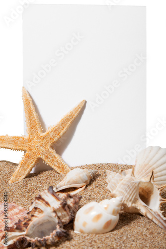 Blank card on sand beach with sea shells isolated on white background
