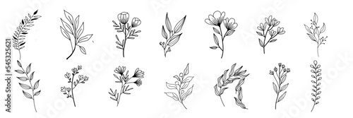 hand drawn isolated flowers and herbs