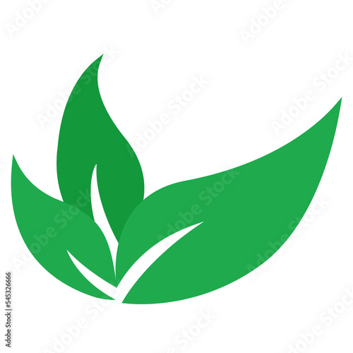 green leaf icon