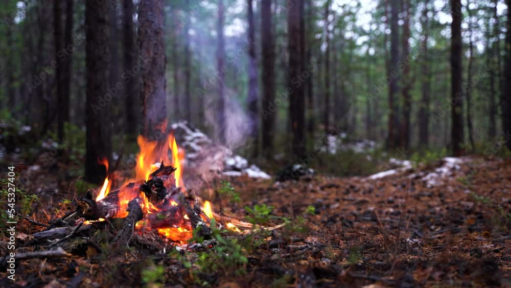Campfire in the forest. Beautiful landscape of nature and trees. Sparks and flames. Rest by the fire. Camping in the woods. Burning firewood. Evening bonfire. Rain and snow in the forest Campfire in the forest. Beautiful landscape of nature and trees. Sparks and flames. Rest by the fire. Camping in the woods. Burning firewood. Evening bonfire. Rain and snow in the forest