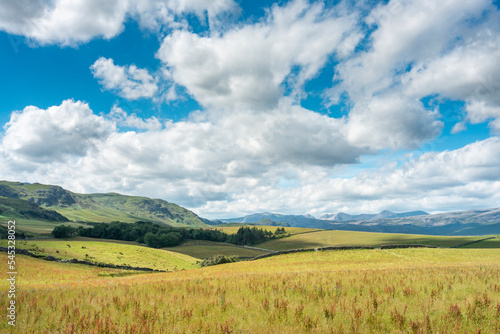 Scottish Highland summer meadows,in remote area,along North Coast 500 route,within tranquil,rural landscape,Sutherland,Lairg,Scotland,UK © Neil