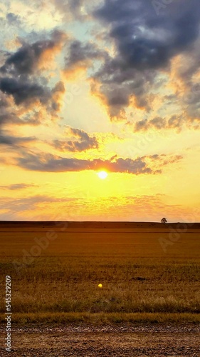 sunset on a field