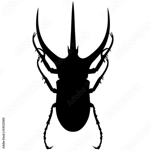 Vector silhouette of a great horn beetle or megasoma actaeo on a white background. The male insect is black.