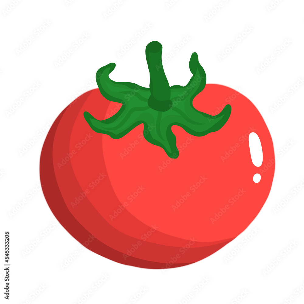 fresh tomato vegetable illustration fresh tomato vegetable illustration