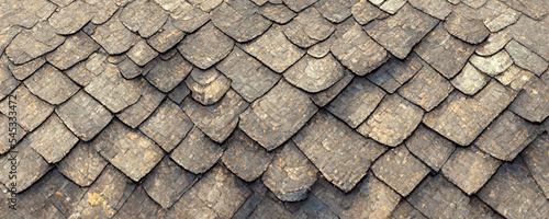 Fotografiet old roof tiles