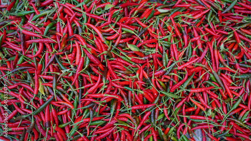 Hot chilli peppers pattern texture background. Close up background landscape of hot chili peppers. © somchai