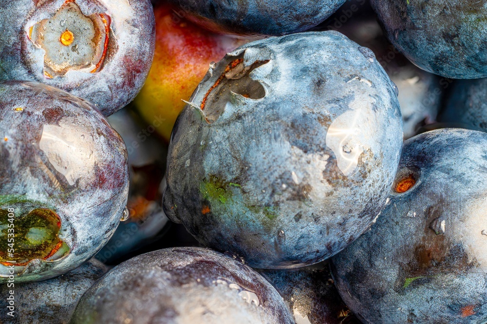 Blueberries Macro