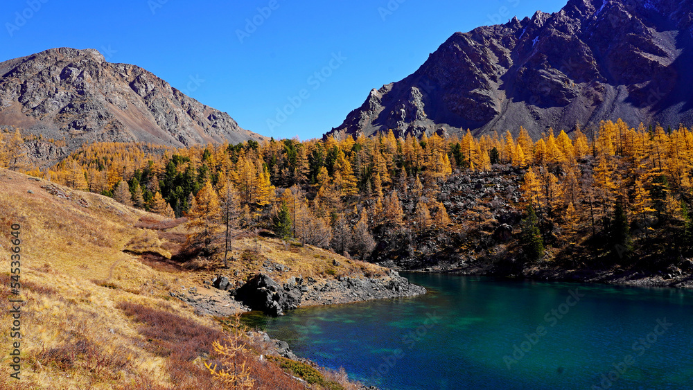 scenic view to high land lake and rocky mountains, golden yellow larches forest on rockfall slopes