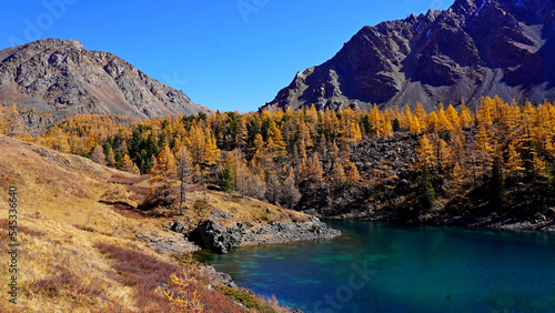 scenic view to high land lake and rocky mountains, golden yellow larches forest on rockfall slopes © MasterSergeant