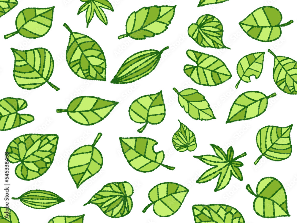 Fototapeta premium 落ち葉の背景