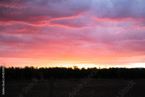 orange clouds at sunset 